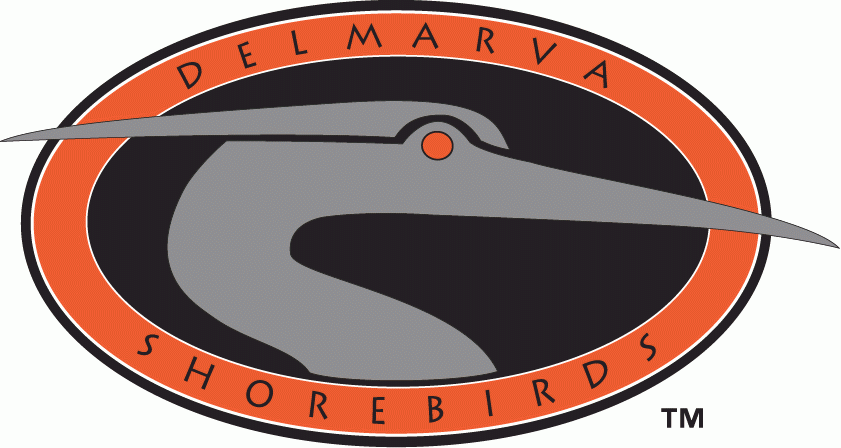 Delmarva Shorebirds 1996-2009 Primary Logo iron on transfers for clothing